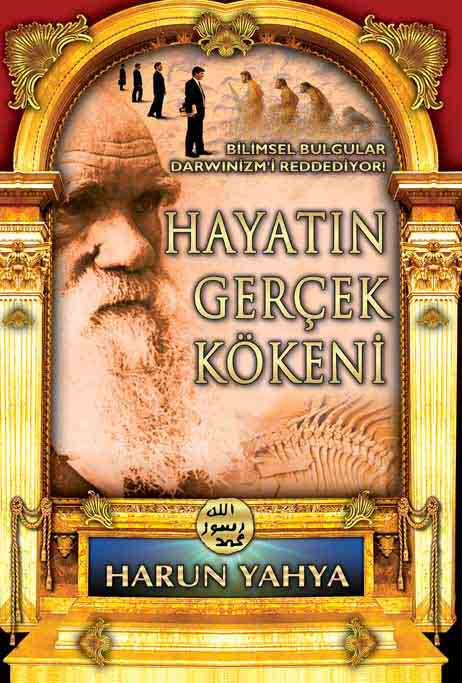 Hayatın Gerçek Kökeni